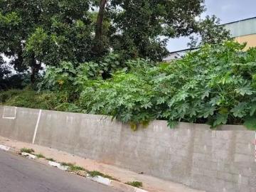 Terreno / Lote para Venda em Cotia/SP Jardim São Vicente