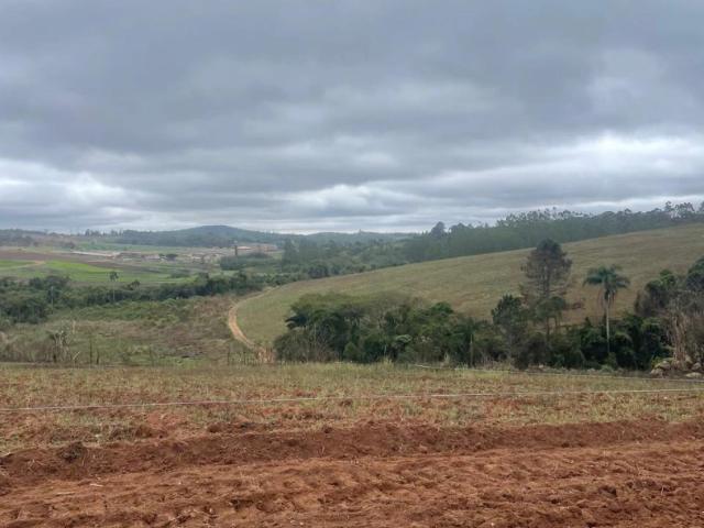 Terreno / Lote para Venda em Cotia/SP Jardim Santa Izabel