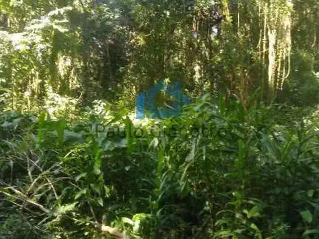 Terreno / Lote para Venda em Cotia/SP Jardim Santa Paula