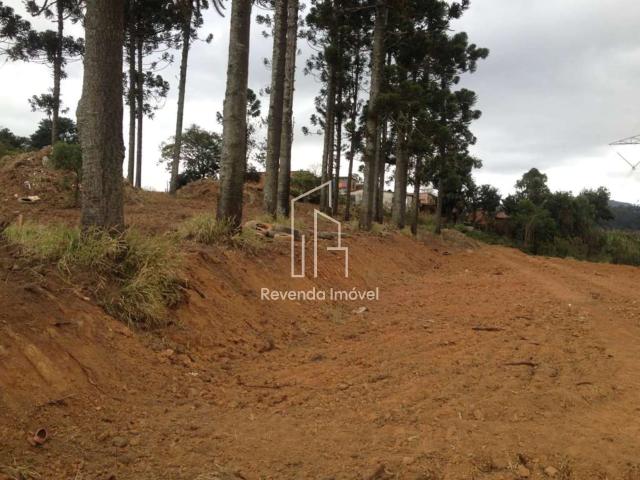 Terreno / Lote para Venda em Cotia/SP Jardim Sandra