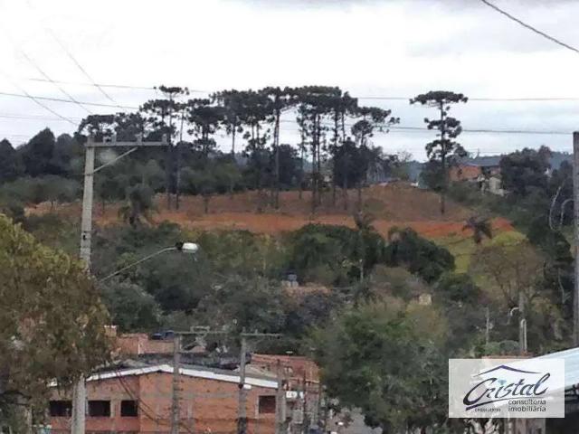 Terreno / Lote para Venda em Cotia/SP Jardim Sandra