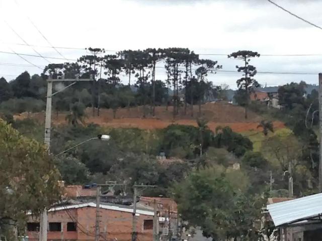 Terreno / Lote para Venda em Cotia/SP Jardim Sandra