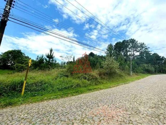 Terreno / Lote para Venda em Cotia/SP Paisagem Renoir