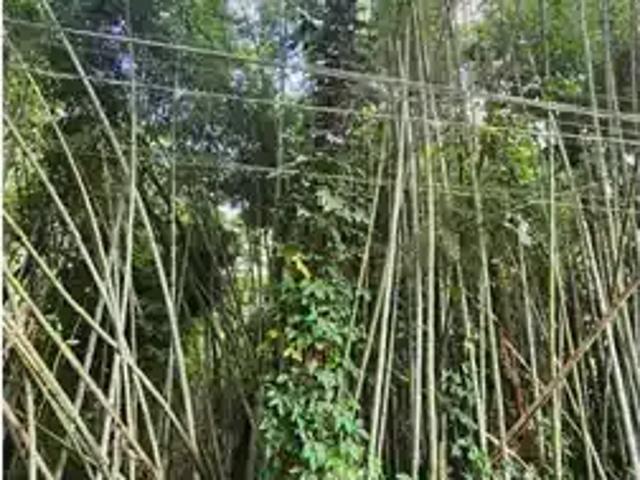 Terreno / Lote para Venda em Cotia/SP Paisagem Renoir
