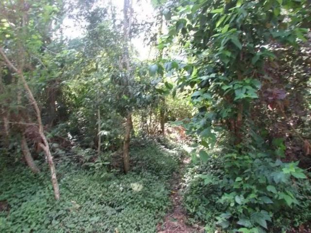 Terreno / Lote para Venda em Cotia/SP Paisagem Renoir