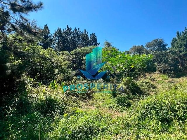 Terreno / Lote para Venda em Cotia/SP Paisagem Renoir