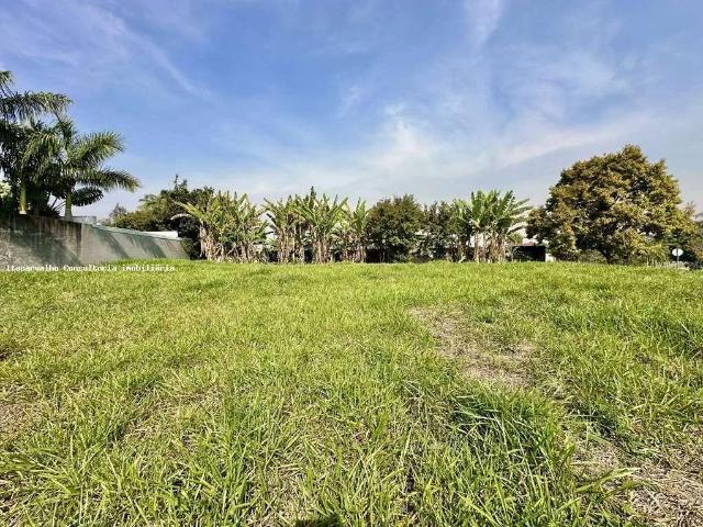 Terreno / Lote para Venda em Cotia/SP Palos Verdes