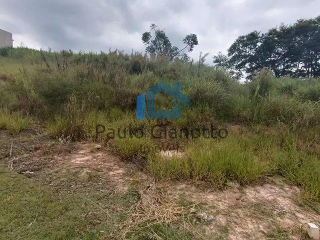 Terreno / Lote para Venda em Cotia/SP Parque Alexandre