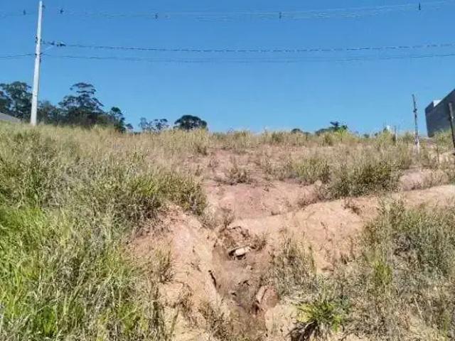Terreno / Lote para Venda em Cotia/SP Parque Alexandre
