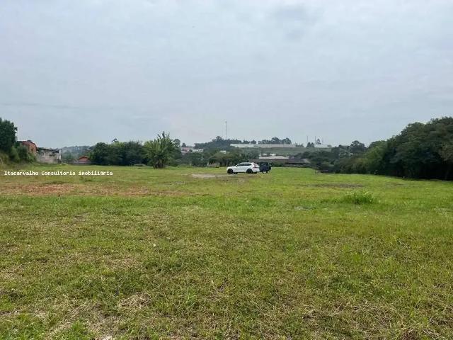 Terreno / Lote para Venda em Cotia/SP Parque Alexandre
