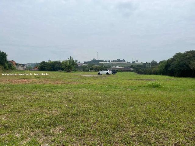 Terreno / Lote para Venda em Cotia/SP Parque Alexandre