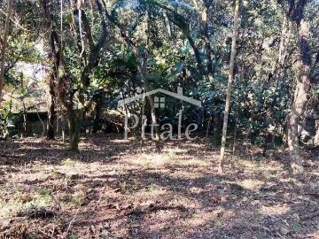 Terreno / Lote para Venda em Cotia/SP Parque Frondoso