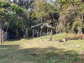 Terreno / Lote para Venda em Cotia/SP Parque Rizzo