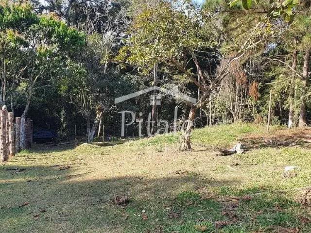 Terreno / Lote para Venda em Cotia/SP Parque Rizzo