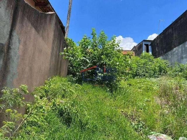 Terreno / Lote para Venda em Cotia/SP Parque São George
