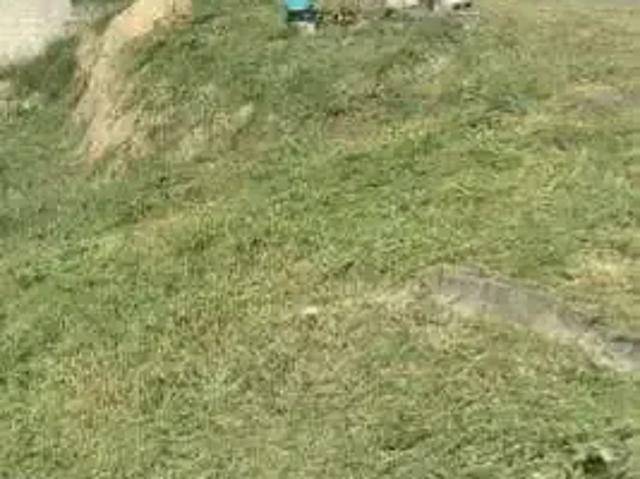 Terreno / Lote para Venda em Cotia/SP Portal do Santa Paula