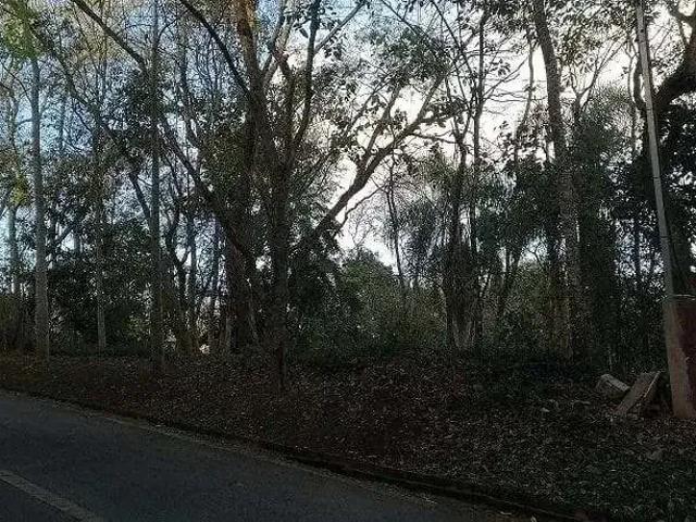 Terreno / Lote para Venda em Cotia/SP Quinta dos Angicos
