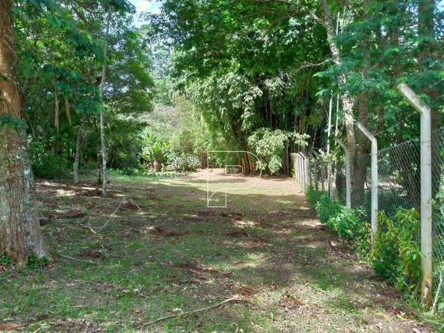 Terreno / Lote para Venda em Cotia/SP Tijuco Preto