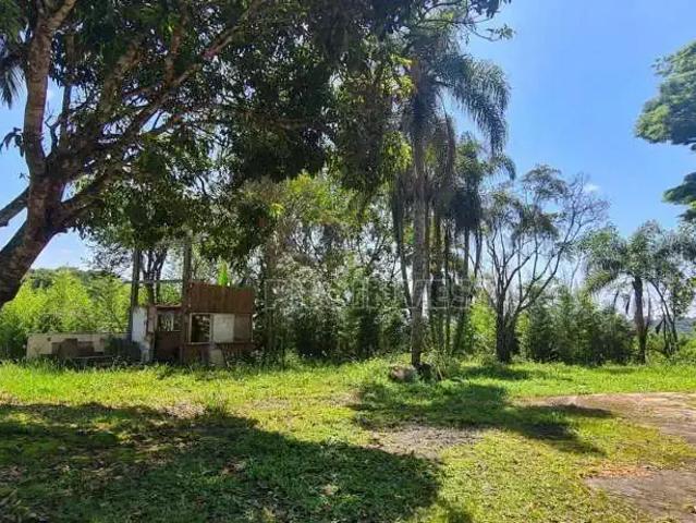 Terreno / Lote para Venda em Cotia/SP Tijuco Preto