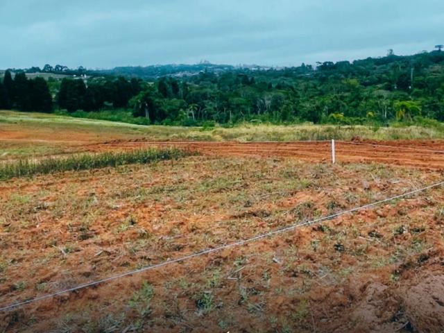 Terreno / Lote para Venda em Cotia/SP Vila São Francisco