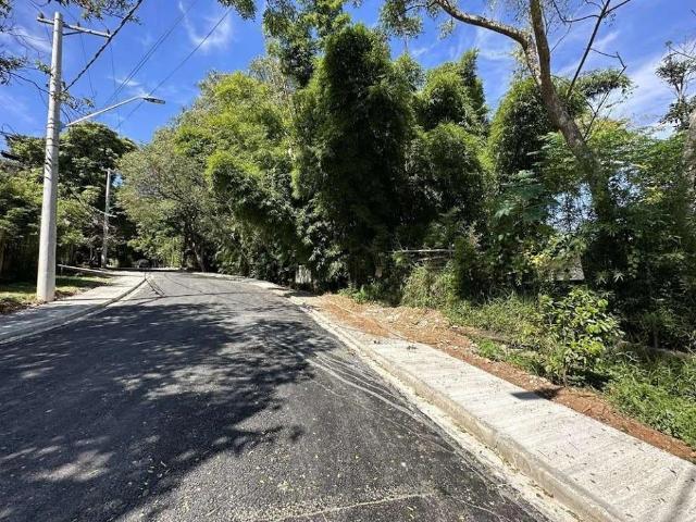 Terreno / Lote para Venda em Cotia/SP Vila Santo Antônio