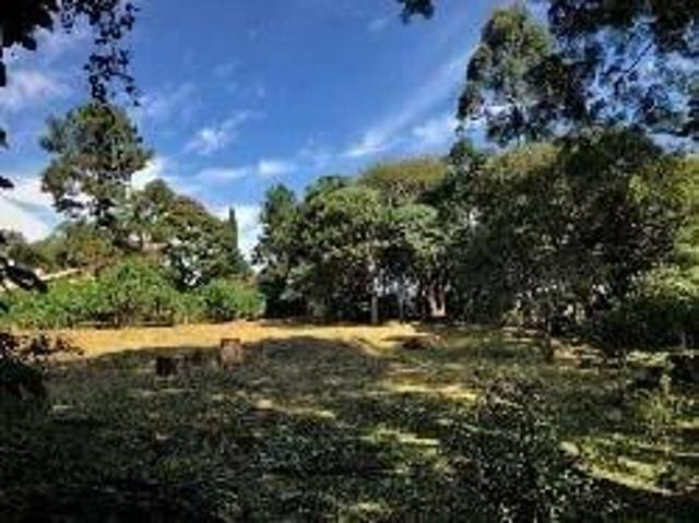 Terreno / Lote para Venda em Cotia/SP Vila Santo Antônio