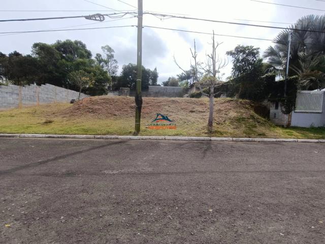 Terreno / Lote para Venda em Cotia/SP Vila Santo Antônio