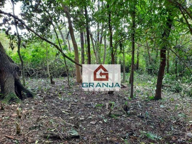 Terreno / Lote para Venda em Cotia/SP Vila Santo Antônio