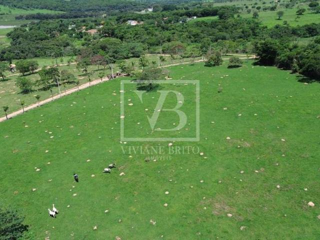 Terreno / Lote para Venda em Cláudio/MG Monsenhor João Alexandre