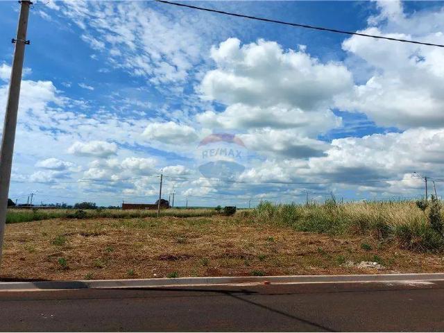 Terreno / Lote para Venda em Cravinhos/SP Centro