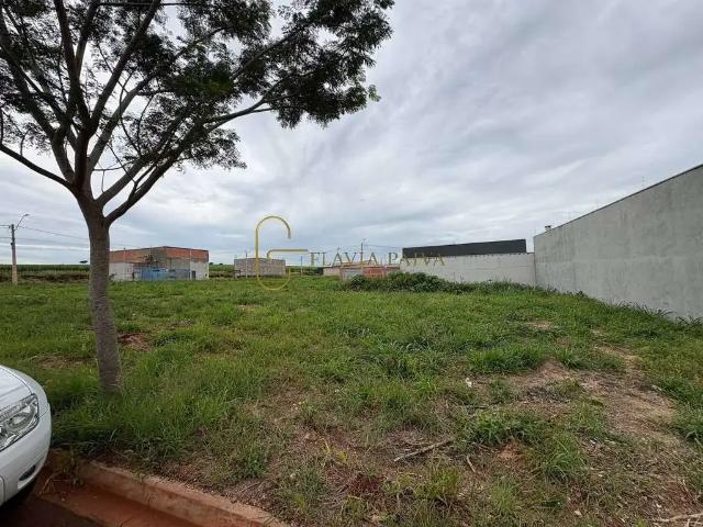 Terreno / Lote para Venda em Cravinhos/SP Centro