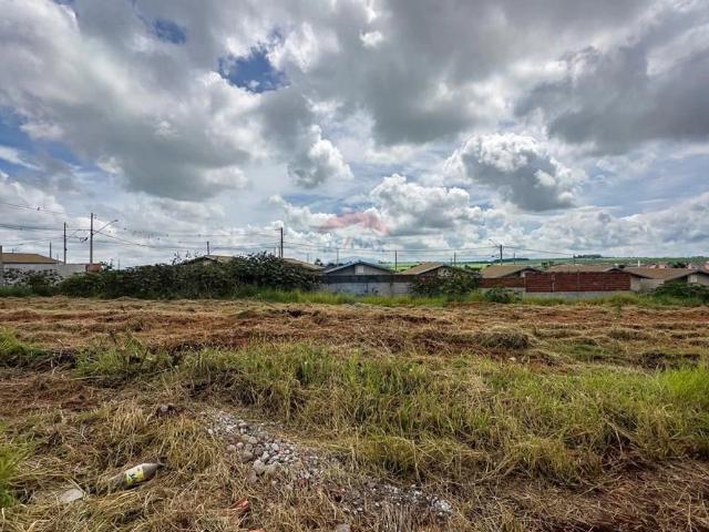 Terreno / Lote para Venda em Cravinhos/SP Centro