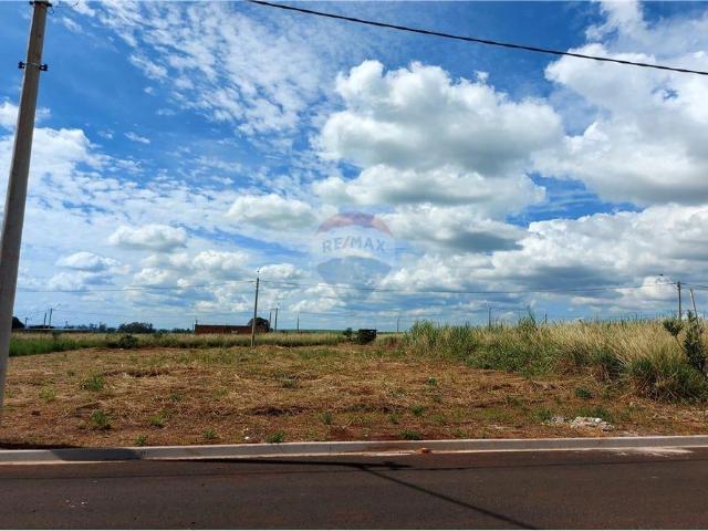 Terreno / Lote para Venda em Cravinhos/SP Centro