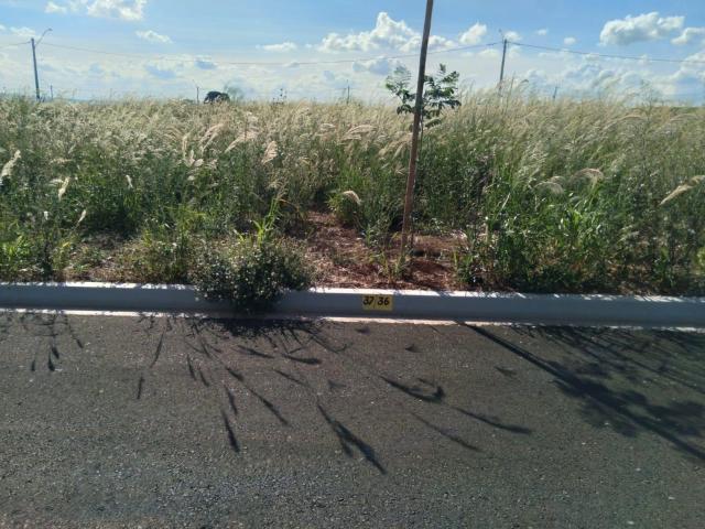 Terreno / Lote para Venda em Cravinhos/SP Centro
