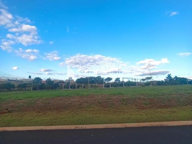 Terreno / Lote para Venda em Cravinhos/SP Fazenda Santa Maria
