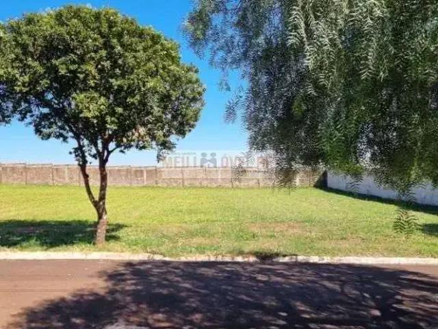 Terreno / Lote para Venda em Cravinhos/SP Jardim Santa Cruz