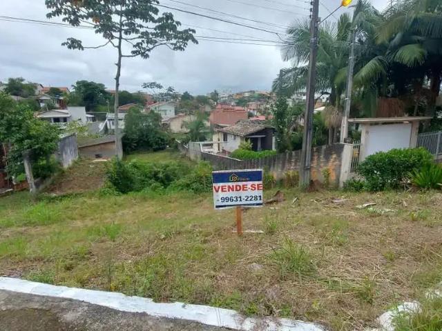Terreno / Lote para Venda em Criciúma/SC Maria Céu