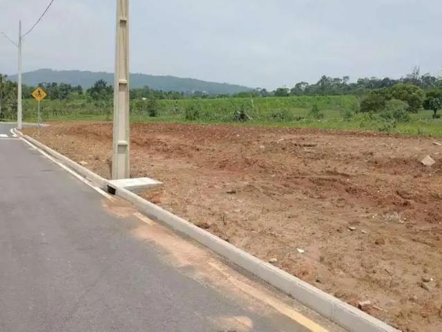 Terreno / Lote para Venda em Criciúma/SC Mina do Mato