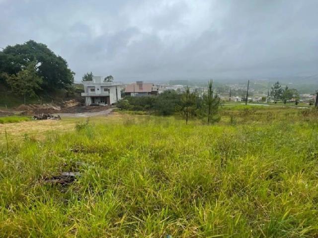 Terreno / Lote para Venda em Criciúma/SC Mina do Mato