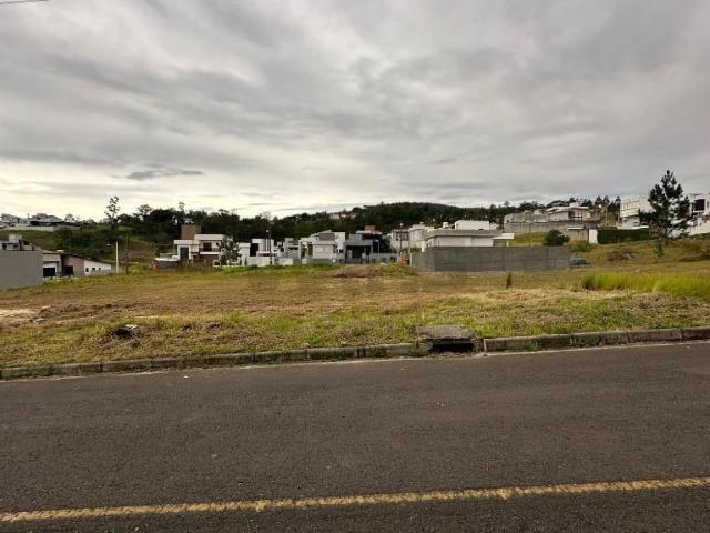 Terreno / Lote para Venda em Criciúma/SC Archimedes Naspolini