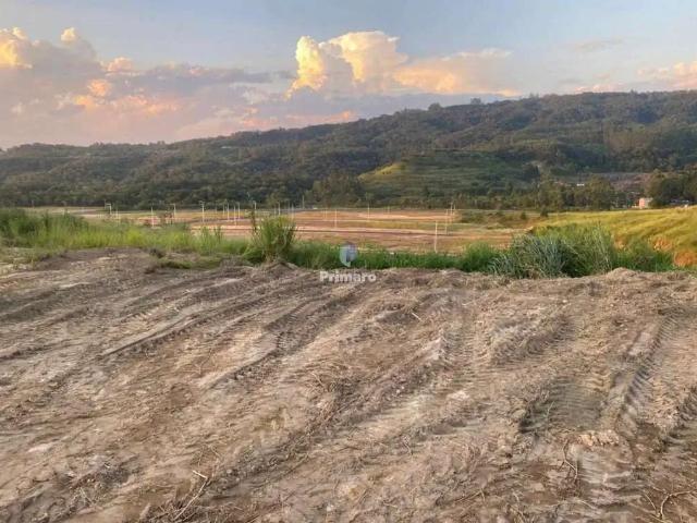 Terreno / Lote para Venda em Criciúma/SC Archimedes Naspolini