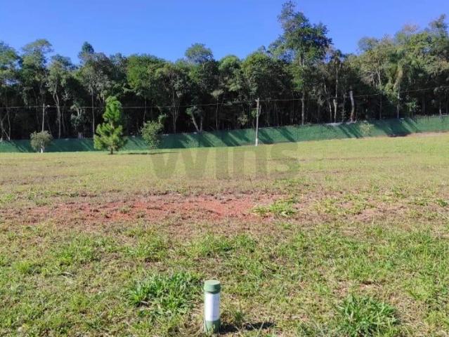Terreno / Lote para Venda em Criciúma/SC Argentina