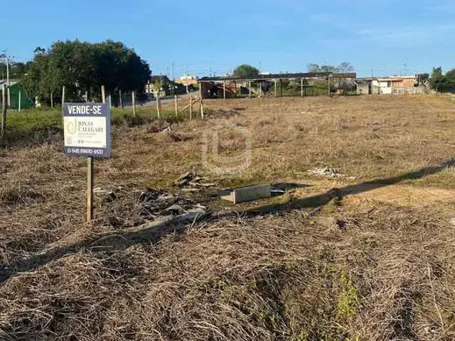 Terreno / Lote para Venda em Criciúma/SC Buenos Aires