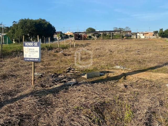 Terreno / Lote para Venda em Criciúma/SC Buenos Aires