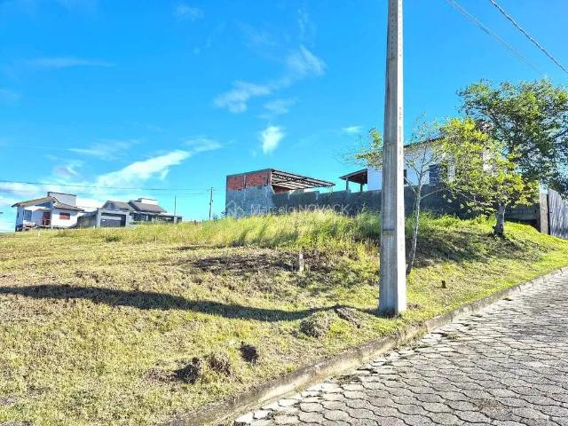 Terreno / Lote para Venda em Criciúma/SC Buenos Aires
