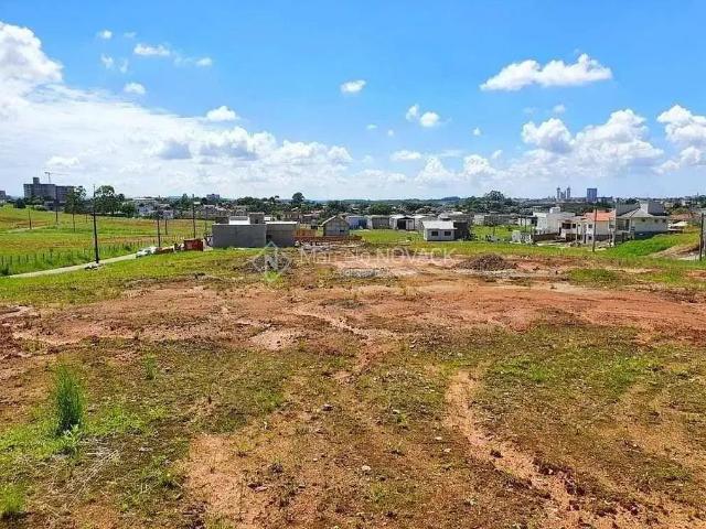 Terreno / Lote para Venda em Criciúma/SC Brasília