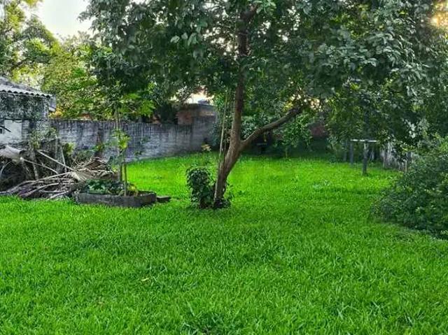 Terreno / Lote para Venda em Criciúma/SC Brasília