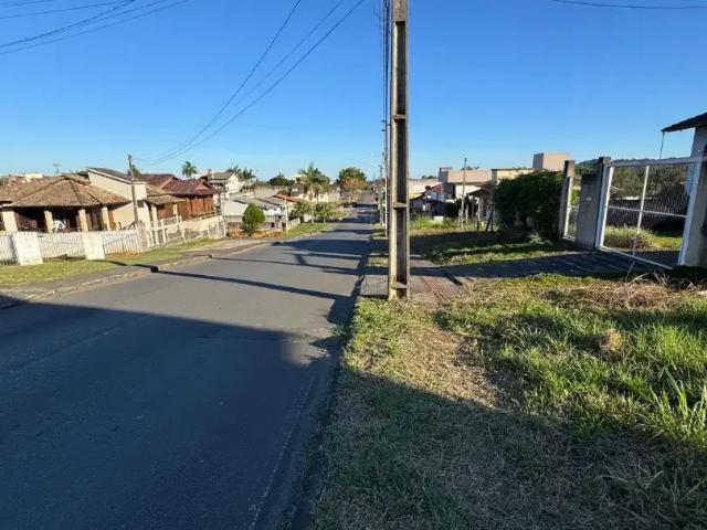 Terreno / Lote para Venda em Criciúma/SC Catarinense
