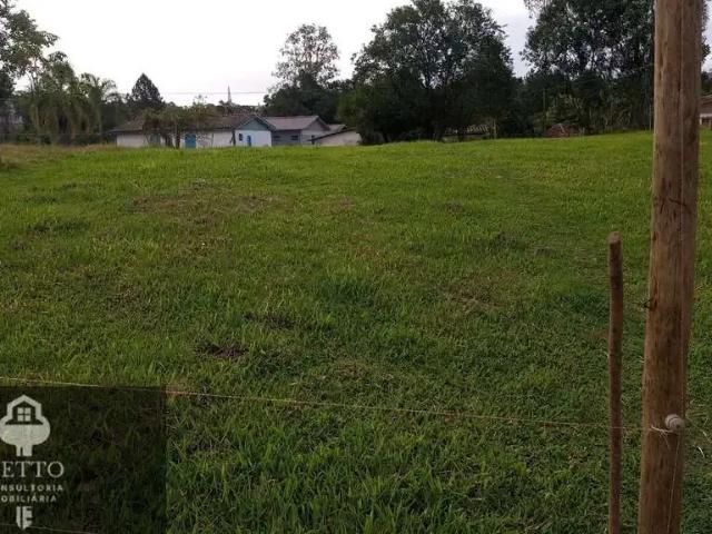 Terreno / Lote para Venda em Criciúma/SC Coloninha Zilli