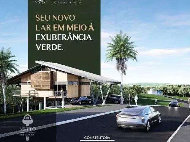 Terreno / Lote para Venda em Criciúma/SC Jardim Angélica